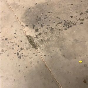 Meet your Posher, Jerry